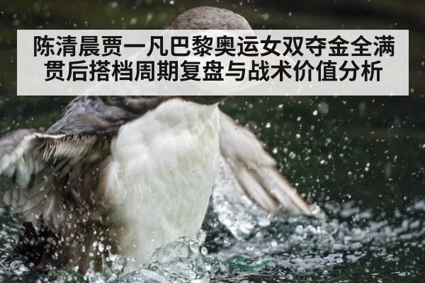 陈清晨贾一凡巴黎奥运女双夺金全满贯后搭档周期复盘与战术价值分析